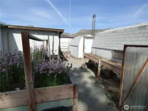 Lots of planter boxes