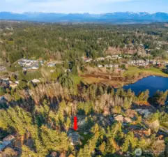 Centered to Pine Lake or Beaver Lake, shops, schools & life!