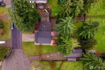 Quiet street in Bonney Lake