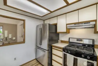 Gas cooking and fridge with ice maker