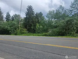Taken from across mile hill road to the property, heavy brush and woods.