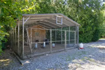 The chicken coop is more like a chicken house...it is huge and fancy!