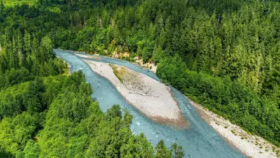 Walk just over the creek and you'll get to the Sauk River!