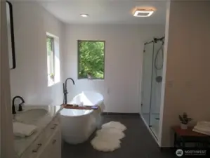 Full bath with two sinks and separate tub and shower.