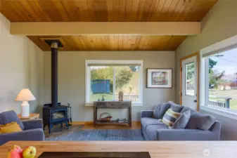 Another view of the light filled living room.