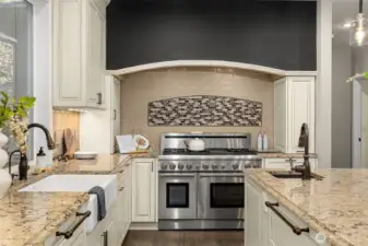 Professional grade appliances, including Thermador gas range