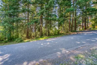 Adjacent Parcel, .49 acres included