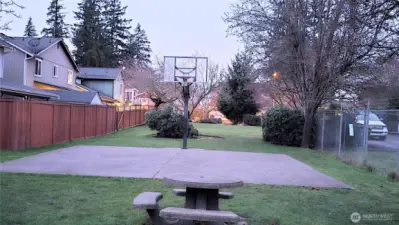 From friendly games of basketball to casual evenings at the picnic table, this shared space brings energy and connection to everyday living.