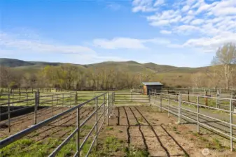 Paddocks off the barn