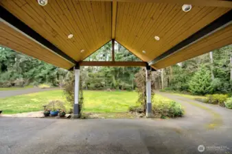 Covered patio with climbing hydrangea, clematis, and rhodies.