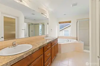 Spa-like ensuite in the primary