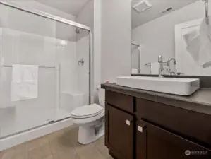 Lower level bathroom