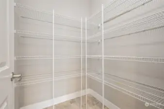 Kitchen walk-in pantry.