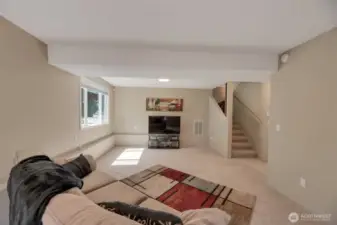 Lower level family room