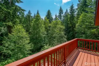 Your own private Primary Suite w/treehouse views