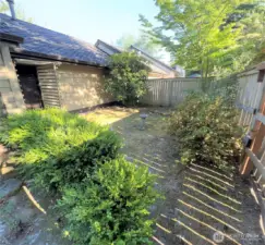 little garden