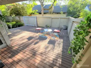 Beautiful backyard