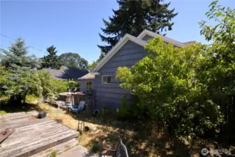 Back yard