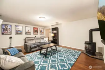 Gas fireplace and wood laminate floors