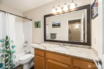 Lower level 3rd full bathroom in this home!