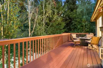 Trex deck large enough for entertaining or private enough for quiet enjoyment