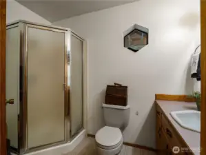 The 3/4 bathroom in the basement is saving you from running upstairs when nature calls.