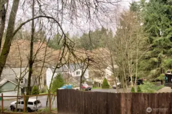 Peek-a-boo view of the lake