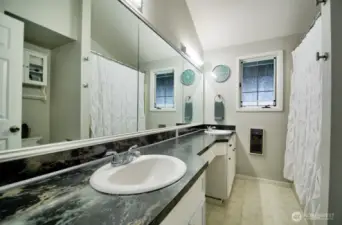 Good sized hall bathroom