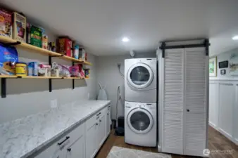 Laundry and utlity area
