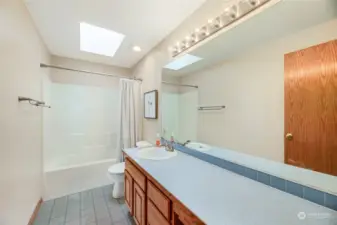 Full hall bathroom with skylight