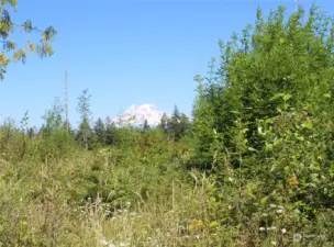 View from the driveway