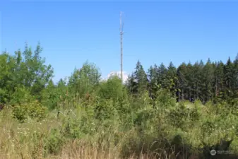 Property across the road. The dead snag will surely be gone come fall!