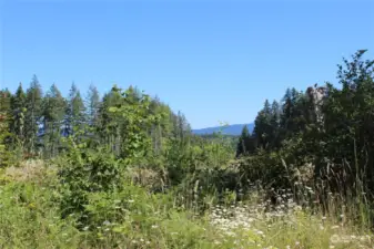 Looking South East from driveway across the road.