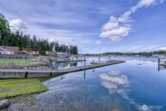 Harbor Views