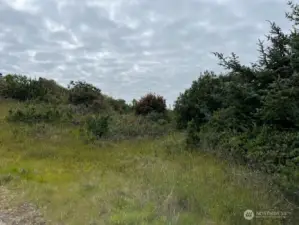 Roadside