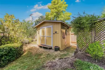 Shed