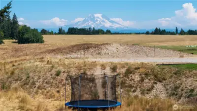 Trampoline with a view