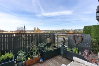 The patio adds such a wonderful touch to the unit. Sit outside and look at the views, the stars or simply relax!