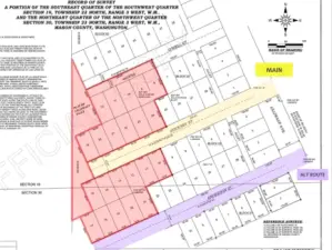 Survey showing underlying lots and streets.