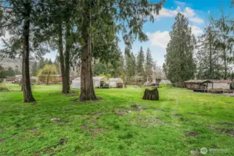 wood shed on the right side of picture