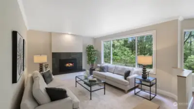 The family room also enjoys the natural light and privacy.  A gas log fireplace is wonderful to sit near on those colder winter months.