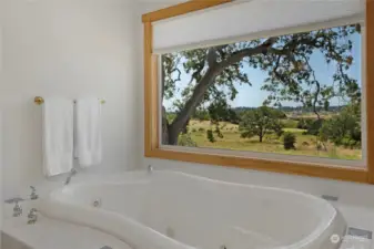 Soak while soaking in the view!