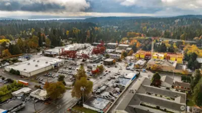 Busy intersection with residential, office, strip malls, shopping, food and everything a micro-community needs.