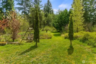 Middle section of the 4.84 acres leading to another orchard and forest