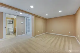 bonus room in basement