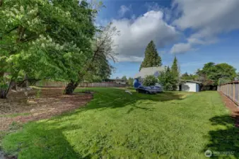 Spacious backyard