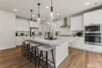 Photos are of the model home. Colors & finishes may vary.