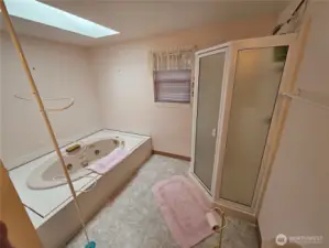Guest bathroom with walk in shower as well as a tub.