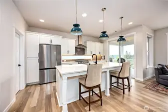 Stainless appliances, custom lighting