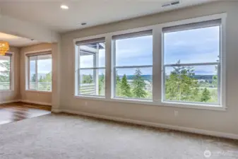 Living room views, custom blinds